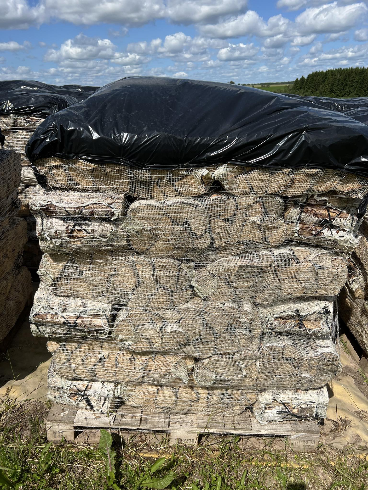 Kask 30 cm 40L võrgus Miinimum kogus 1alus (36 võrku)