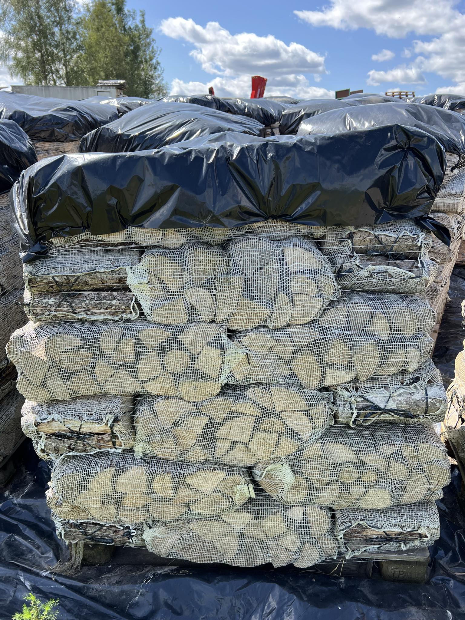 Hall Lepp 30 cm 40L võrgus Miinimum kogus 1alus (36 võrku)