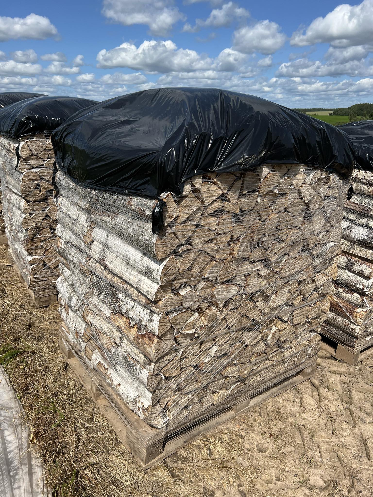 Kask 50cm lahtine puu kaubaalusel, kogus 1,5rm